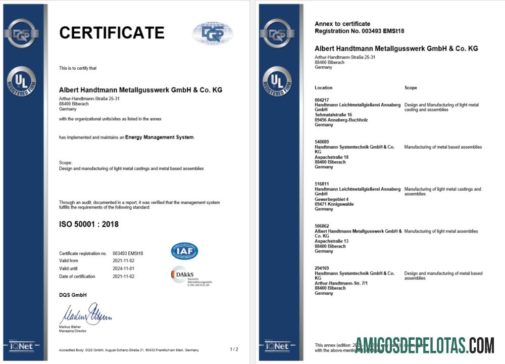 Certificado de registro DQS da Alemanha para impressão, modelo Word e PDF